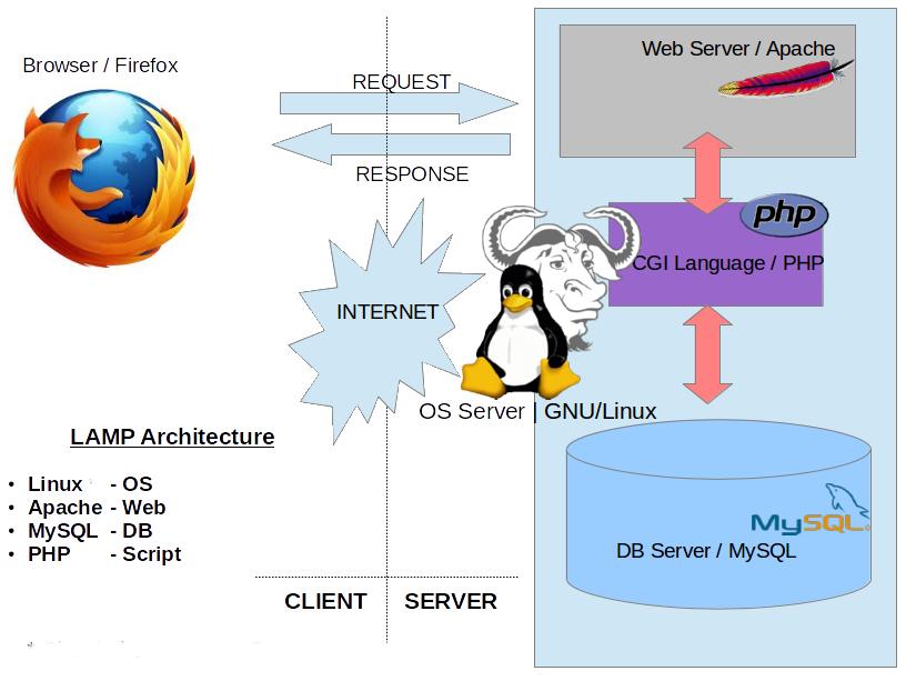 Read more about the article تثبيت مجموعة برمجيات LAMP على دبيان!